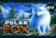 Polar Fox BTD