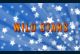 Wild Stars